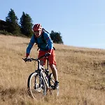 Walliserstube